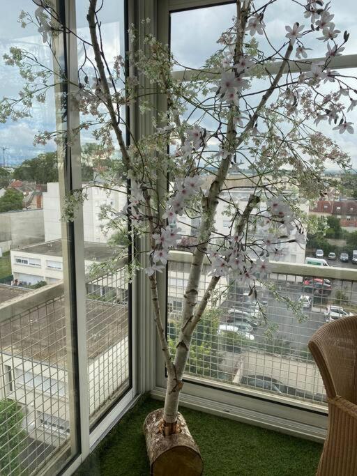 Terrasse Avec Vue